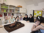 A biológia szakkör látogatása a Természettudományi Múzeumban